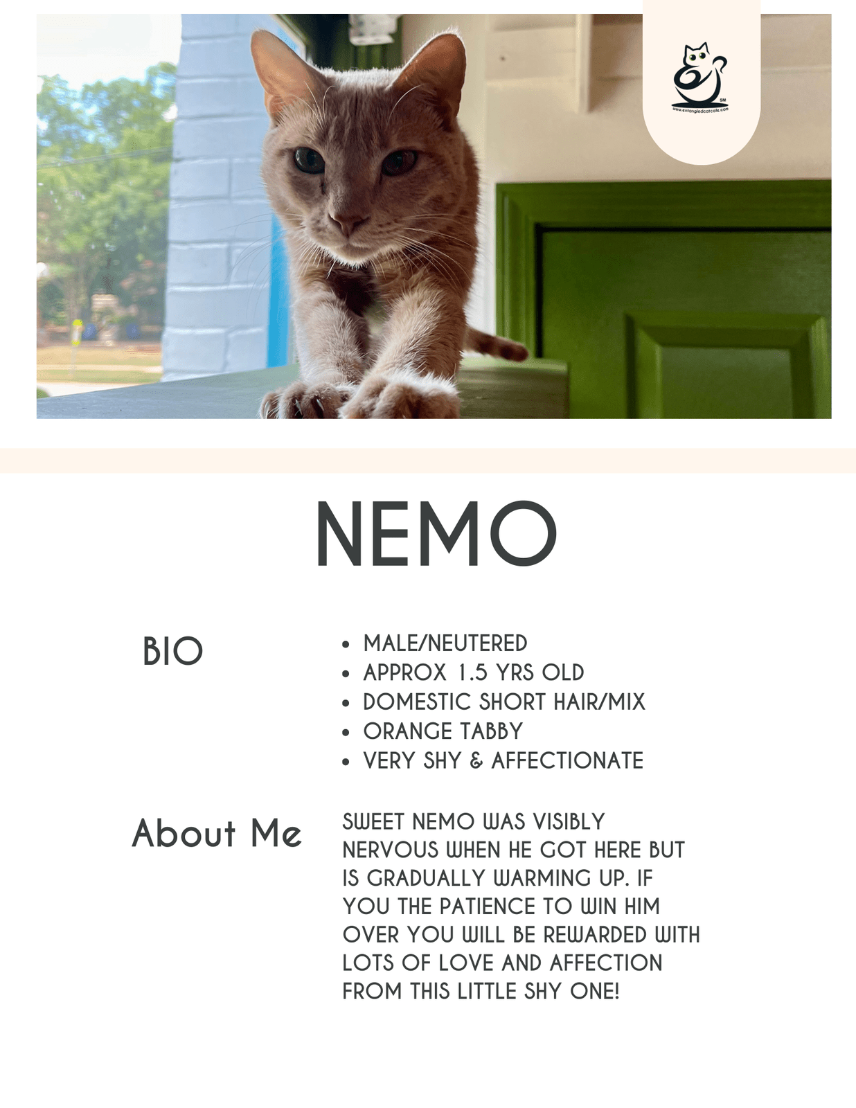 Nemo