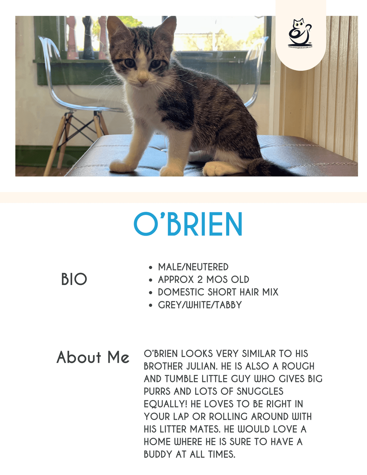 O'Brien