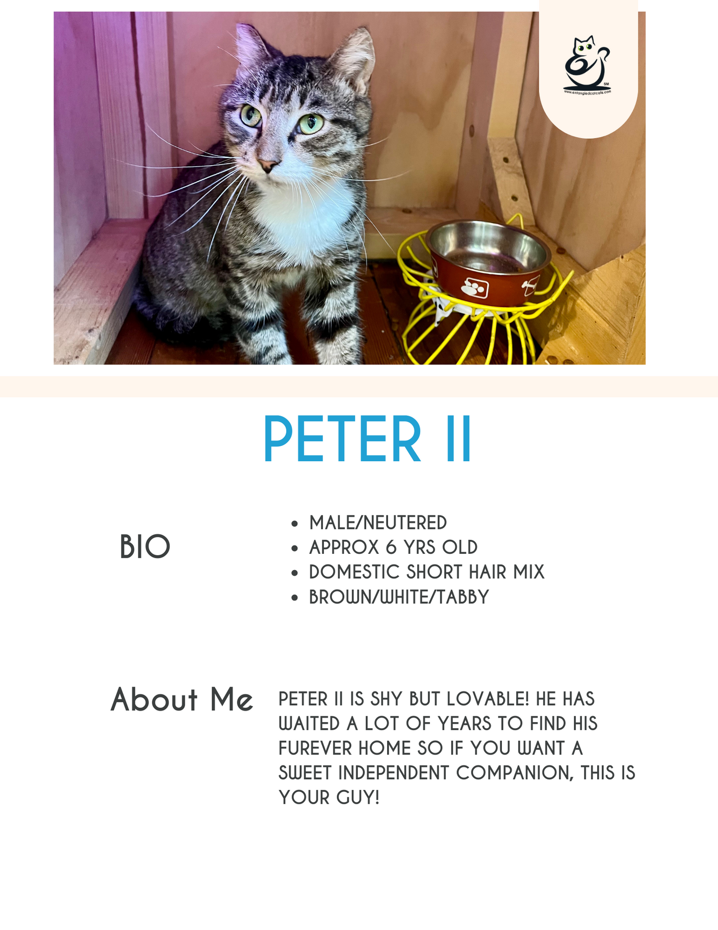 Peter II