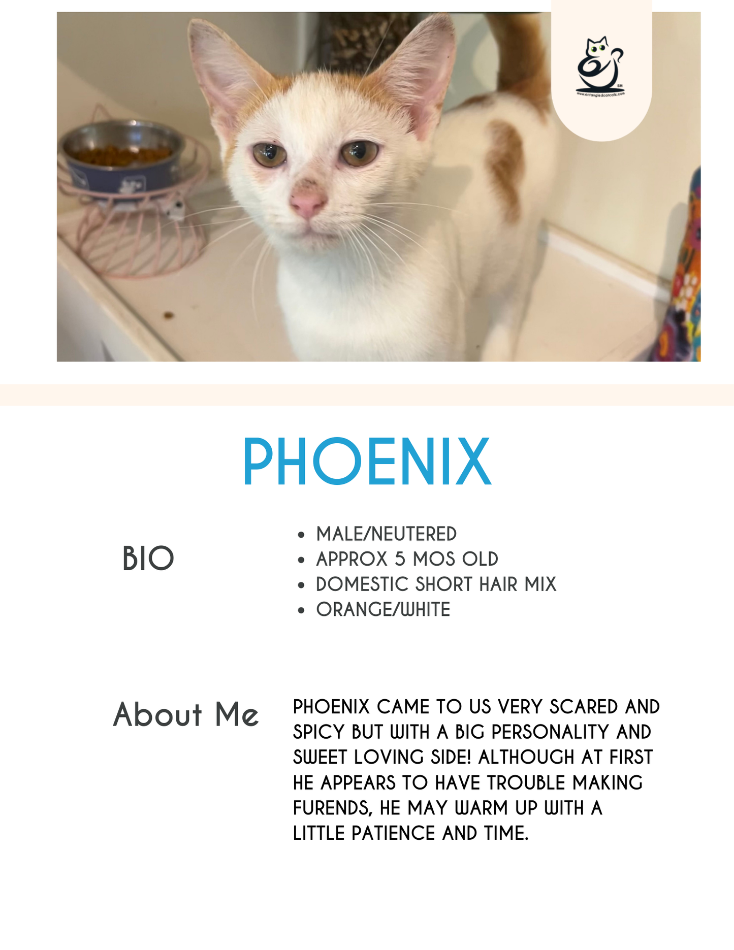 Phoenix