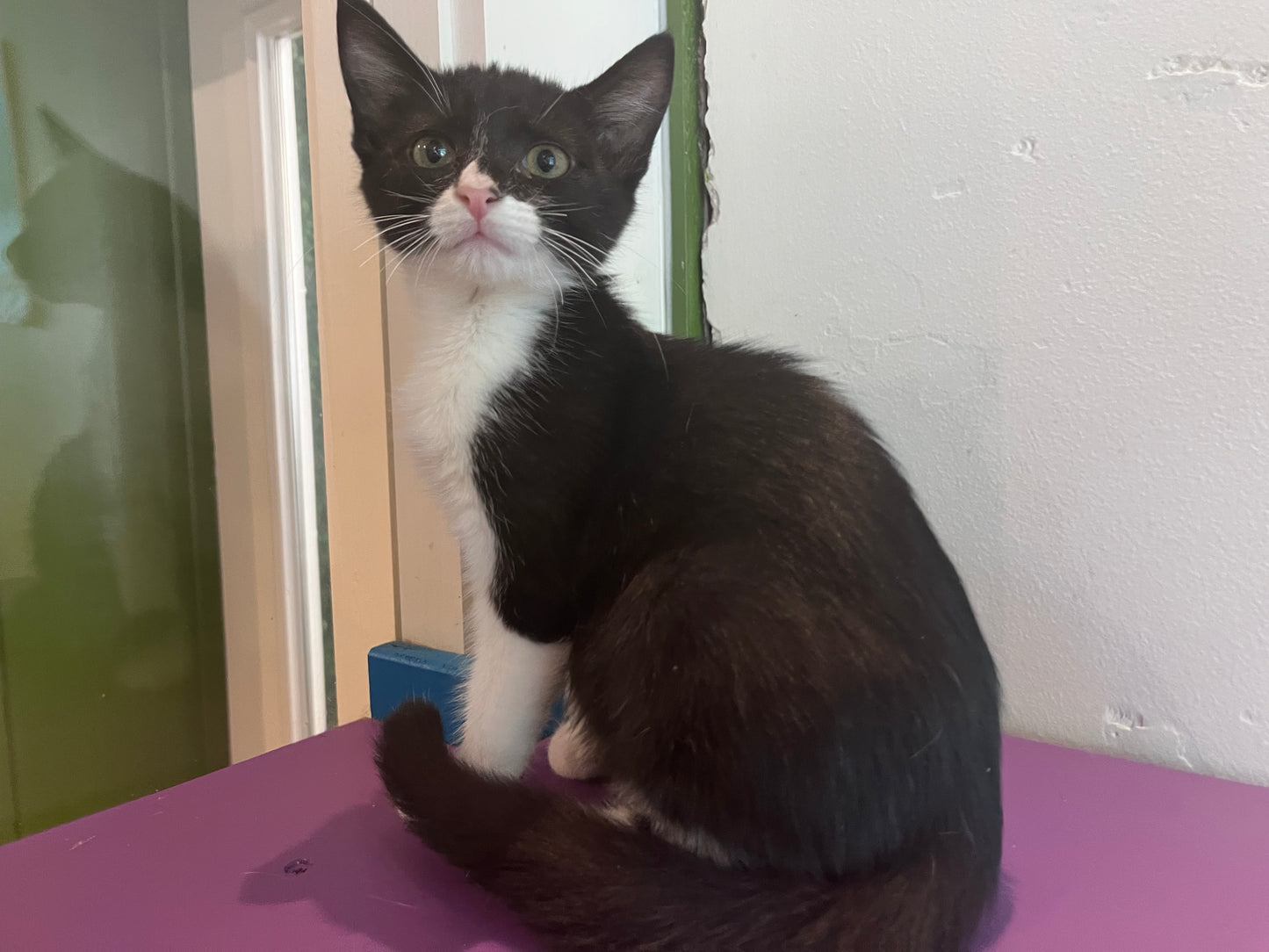 Pip II