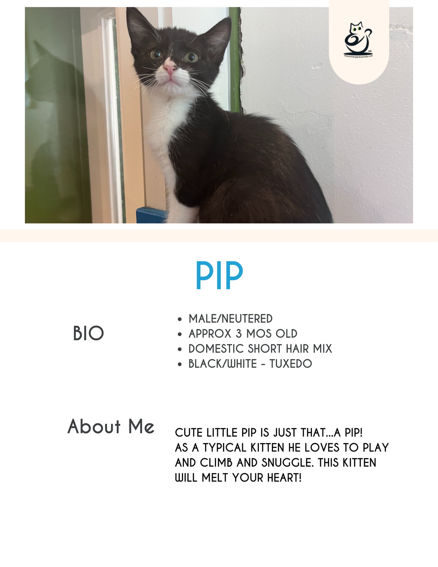 Pip II