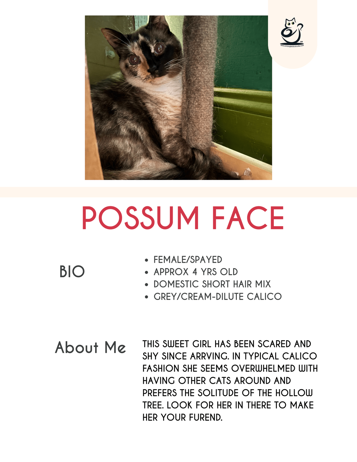Possum Face