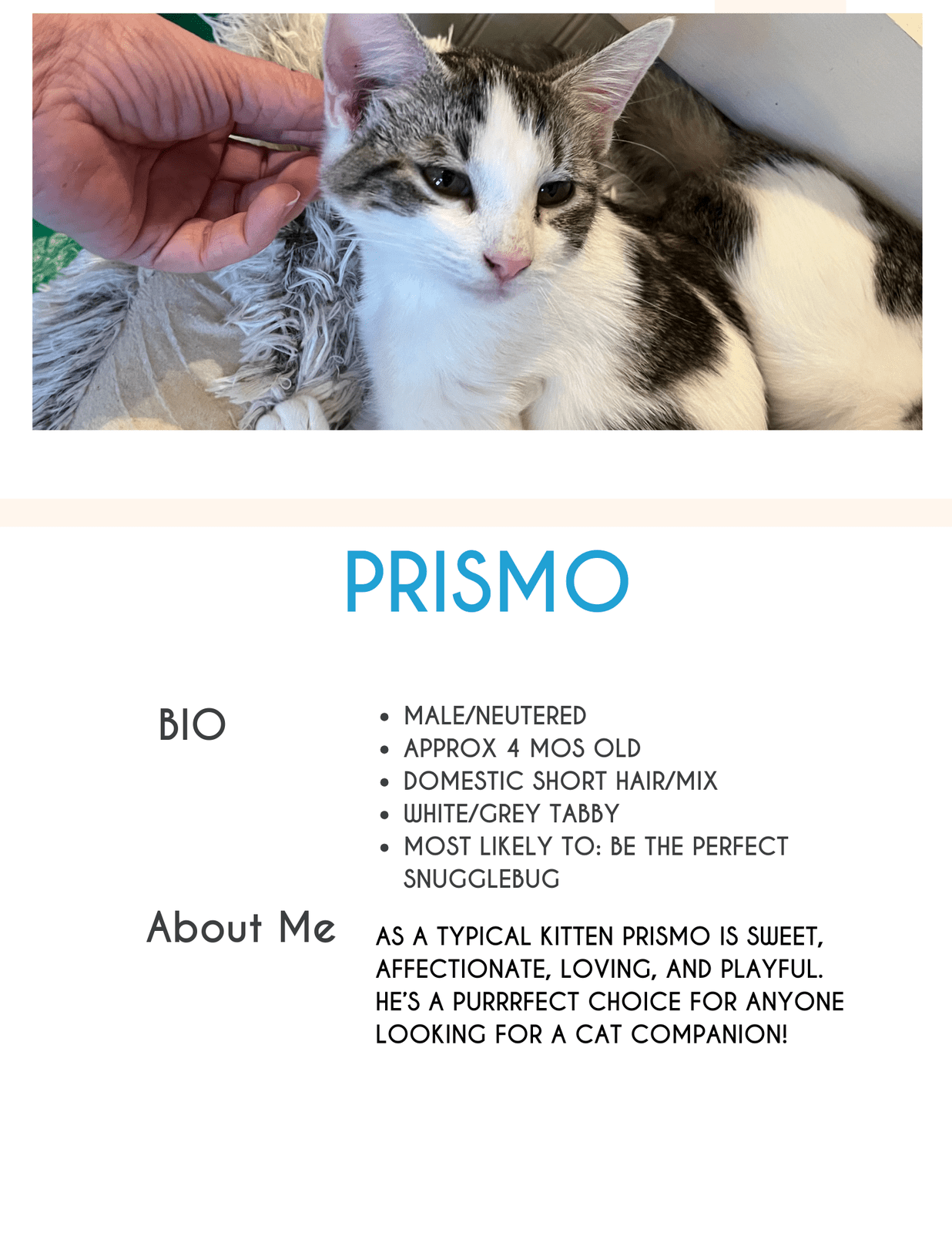 Prismo
