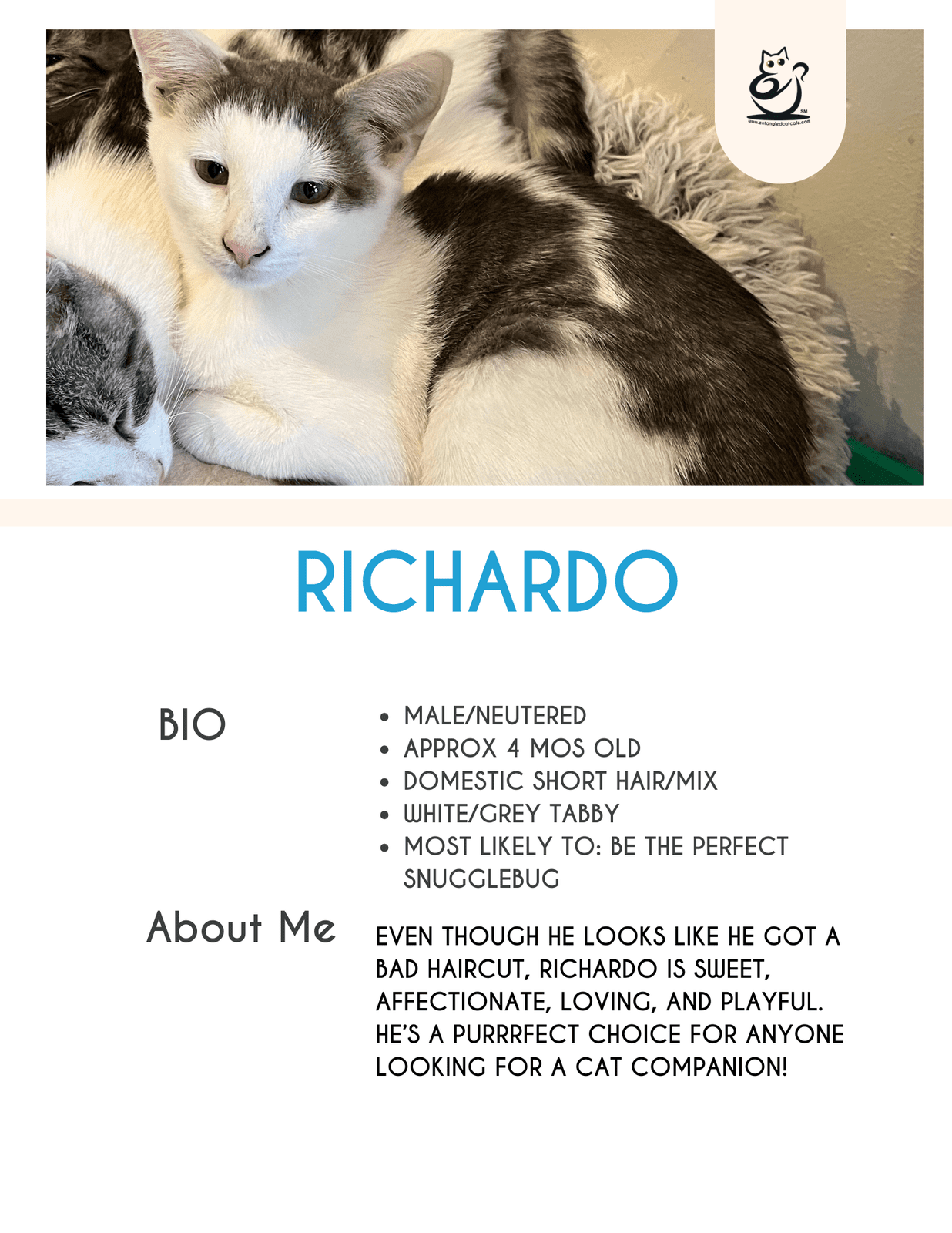 Ricardio