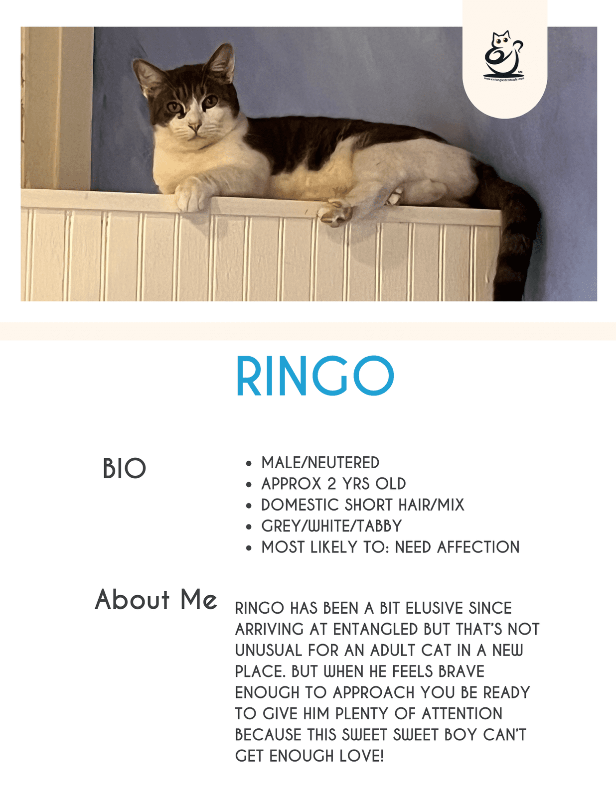 Ringo