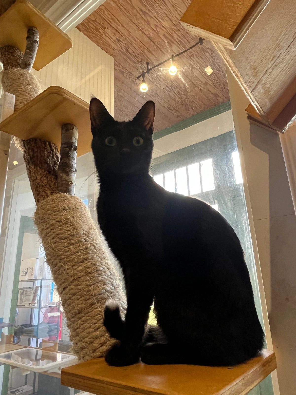 Salem