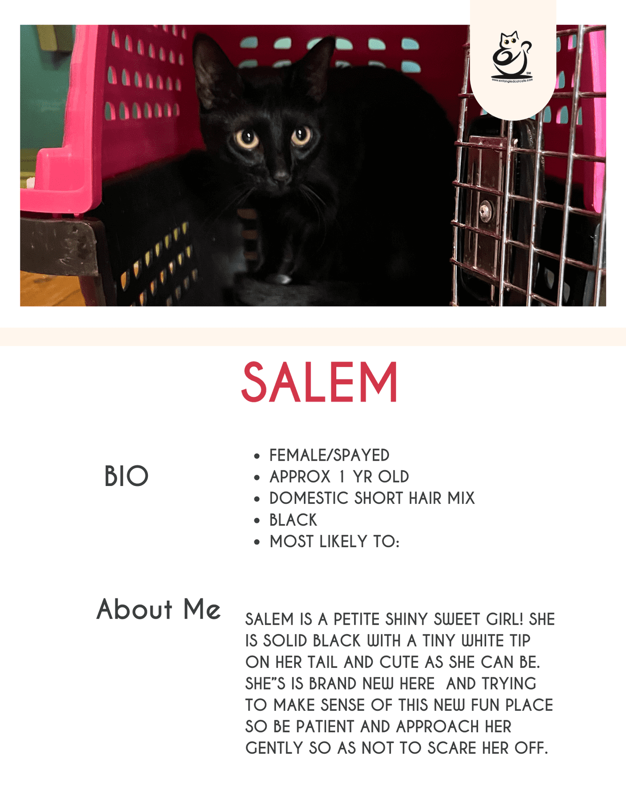 Salem