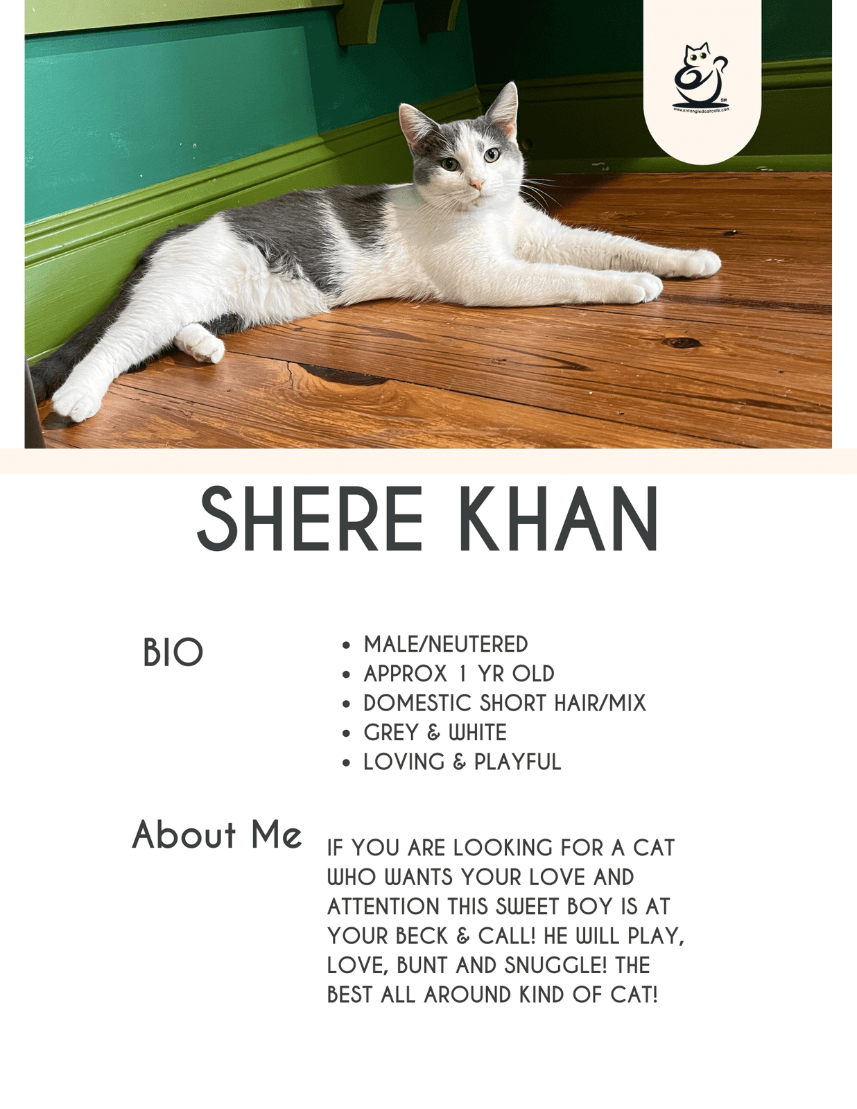 Shere Khan