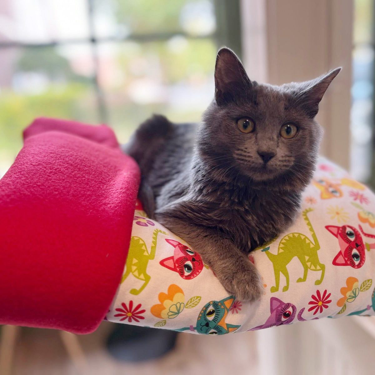 Kozy Kitty Sleeping Bag for Cats