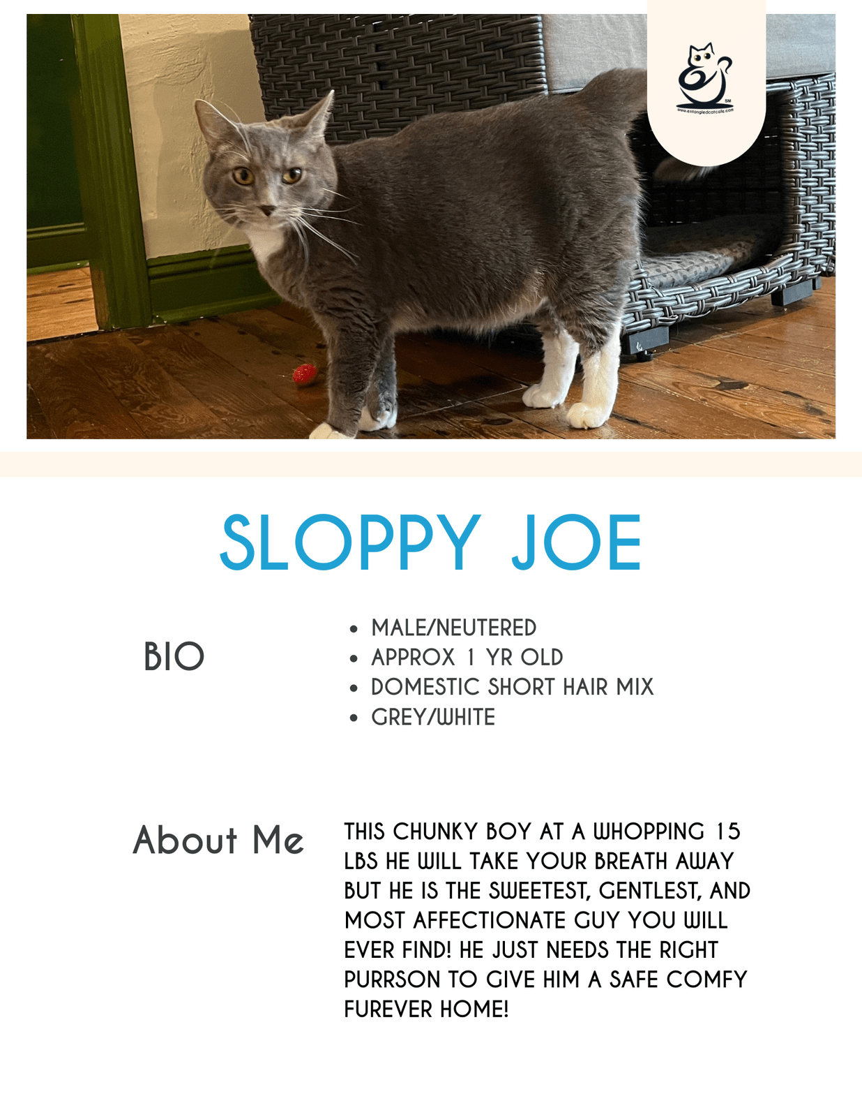 Sloppy Joe