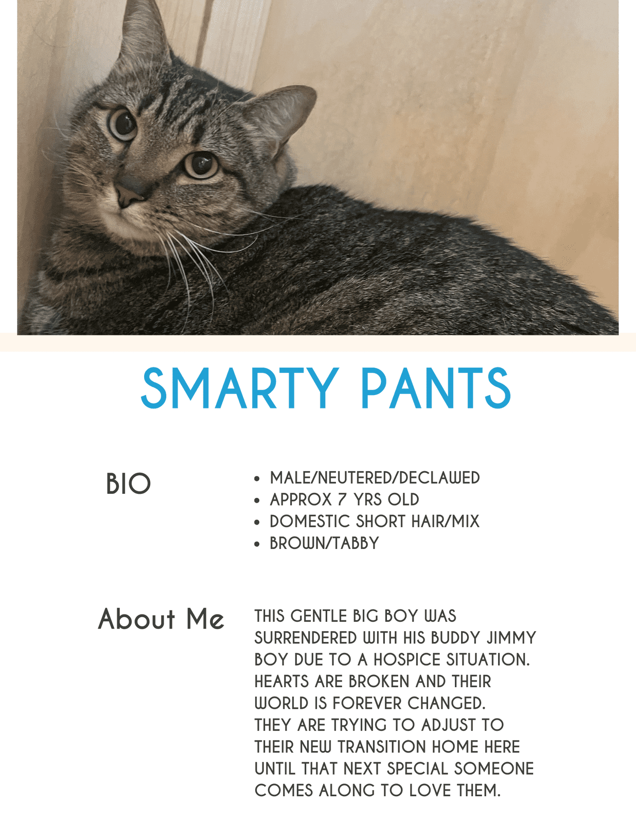 Smarty Pants