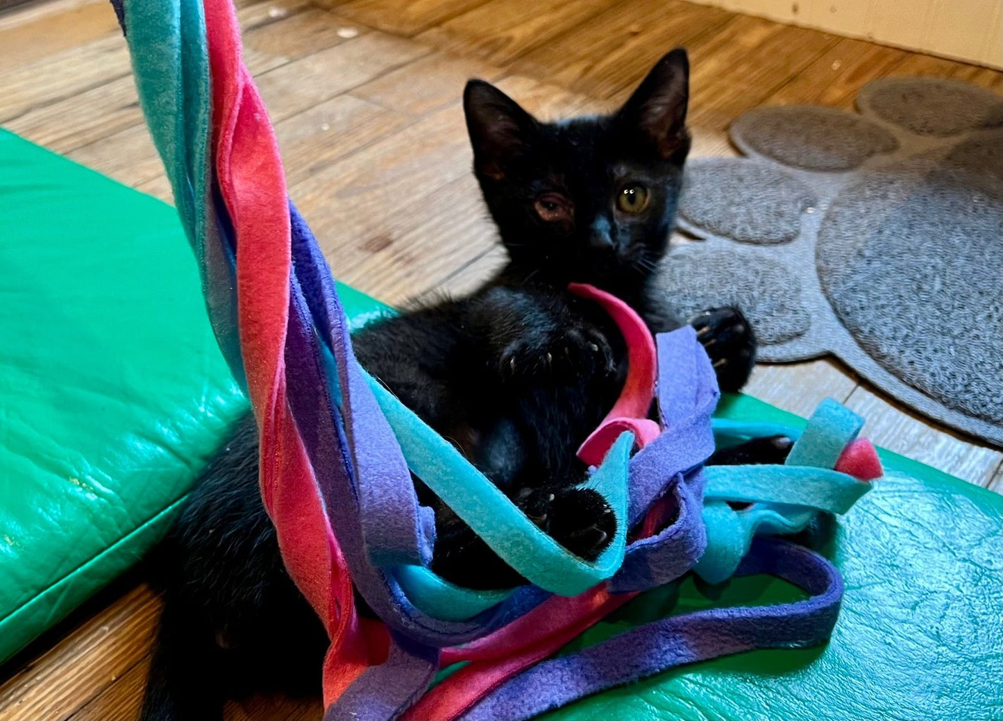 Sophie