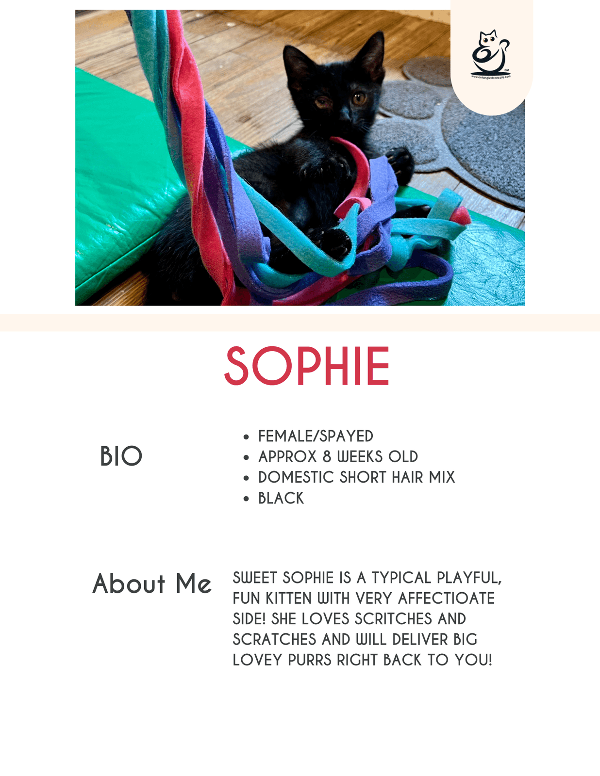 Sophie
