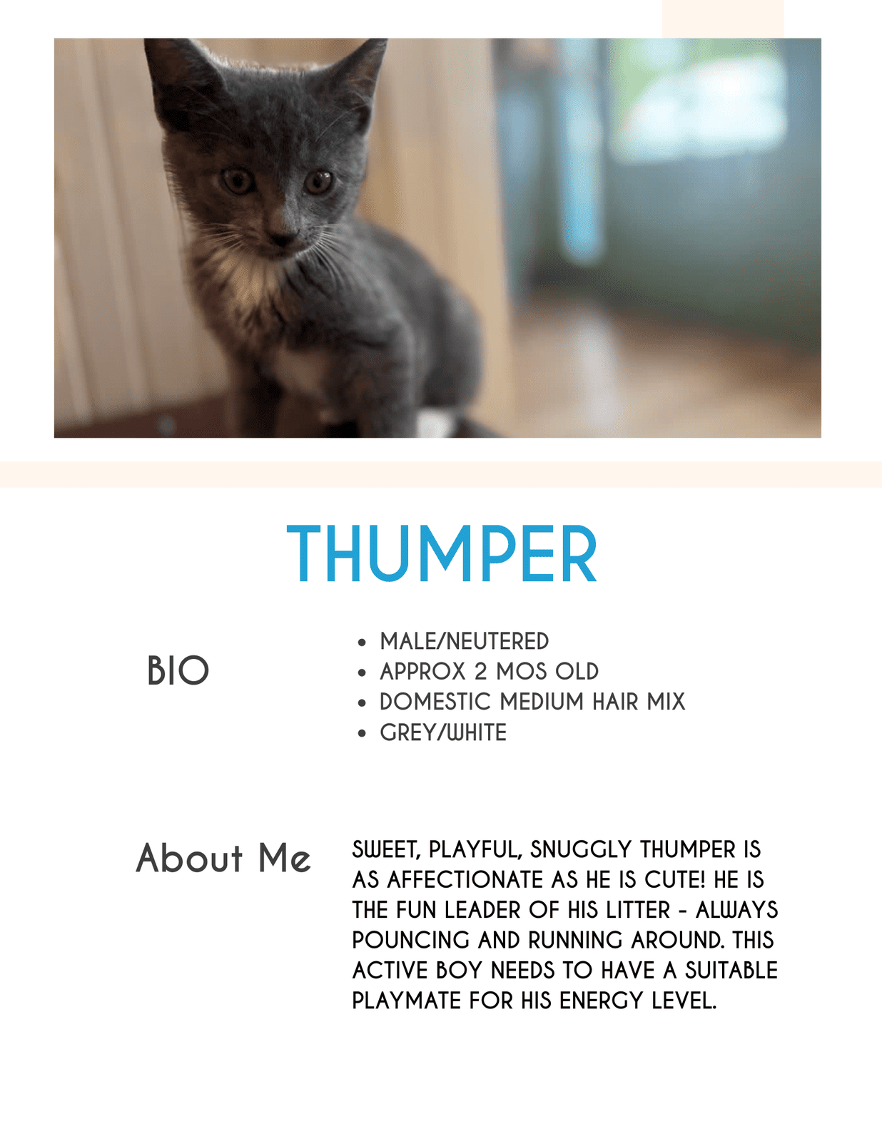 Thumper