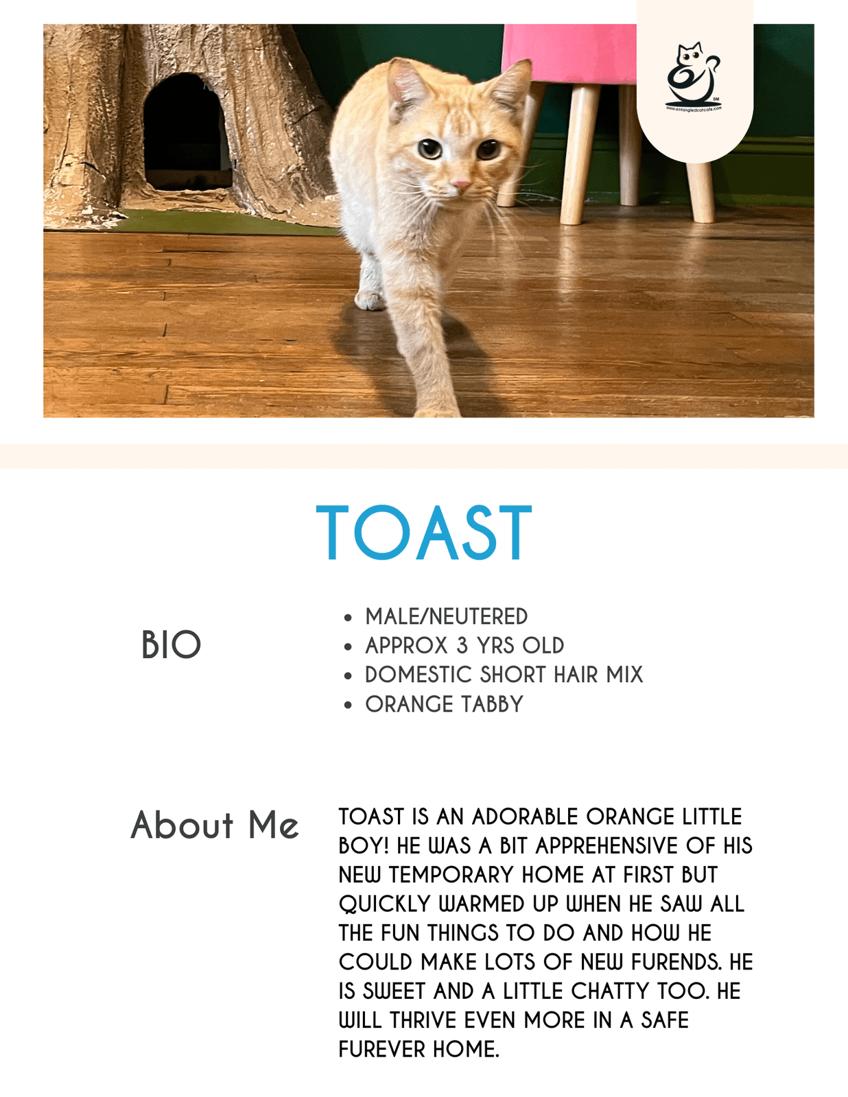Toast