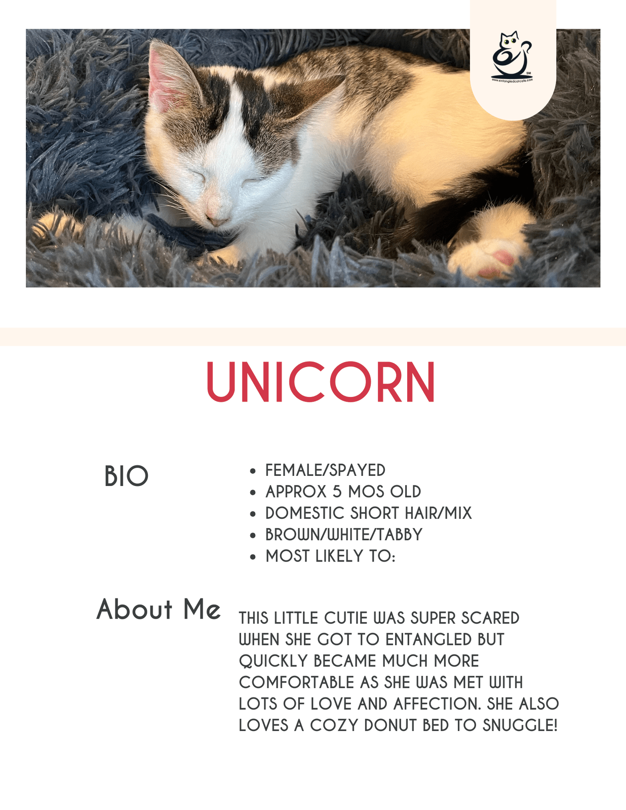 Unicorn