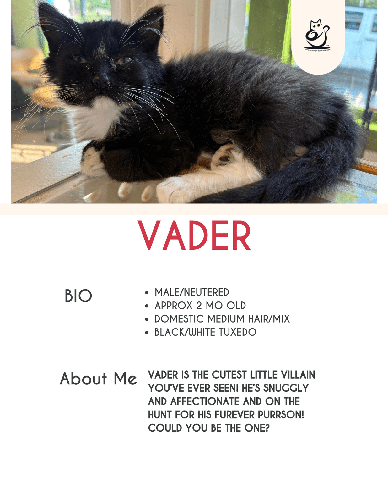 Vader