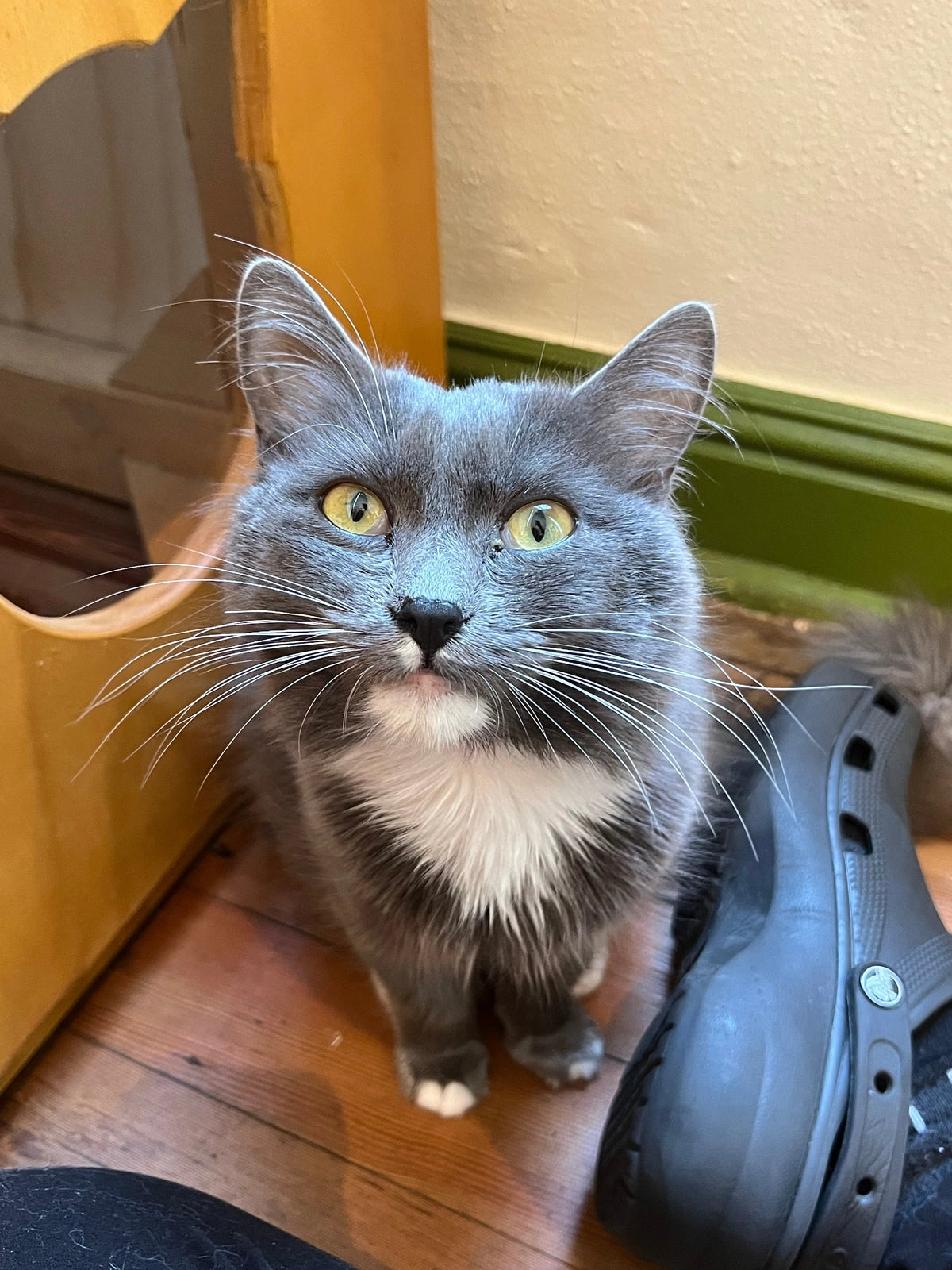 Victoria