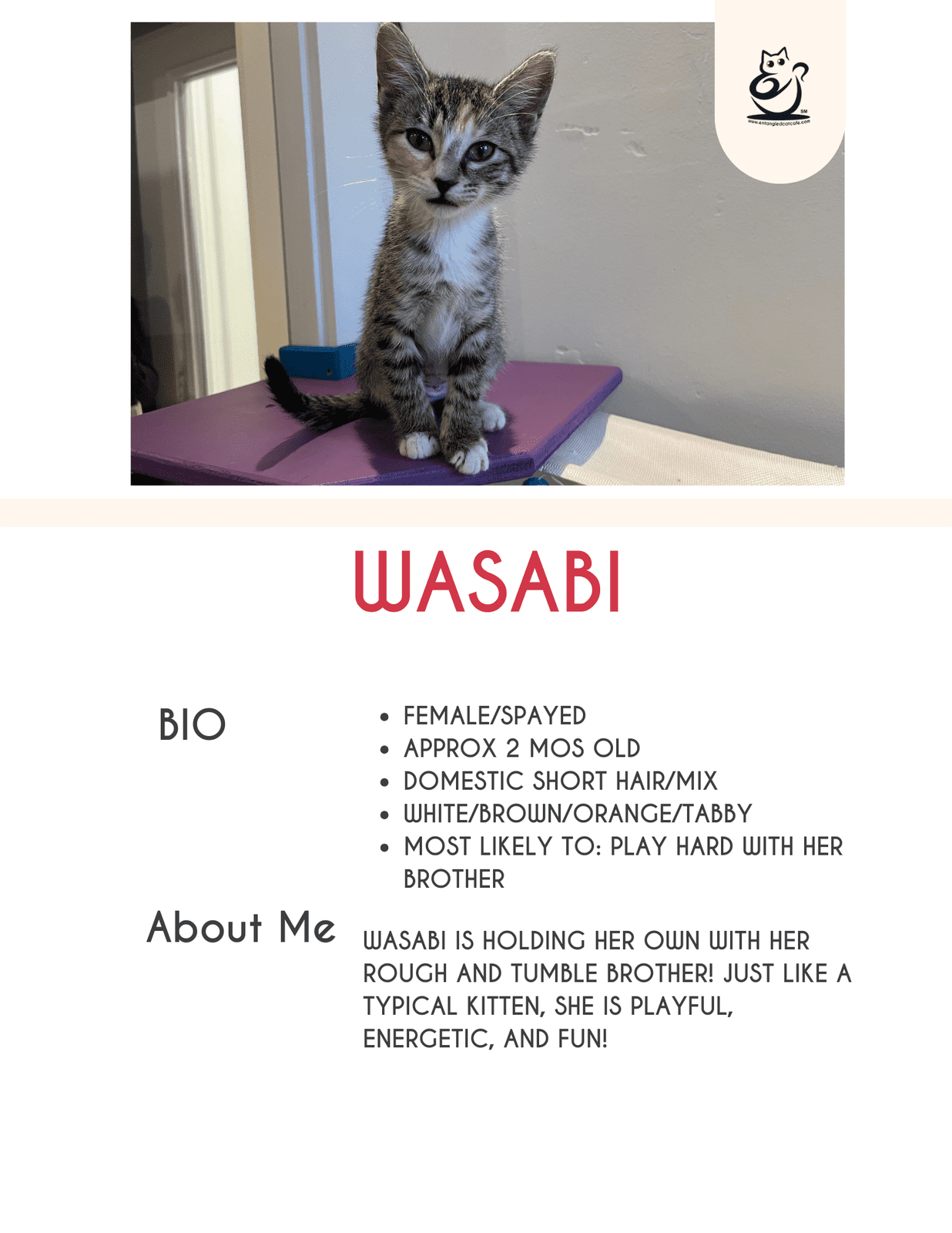 Wasabi
