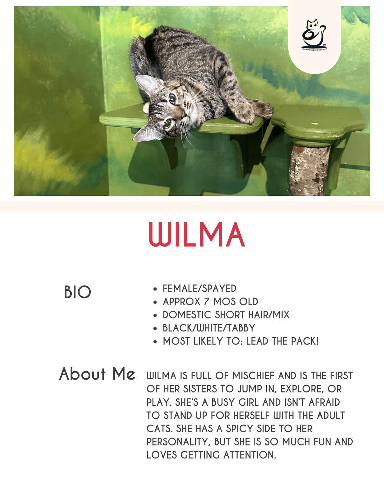 Wilma