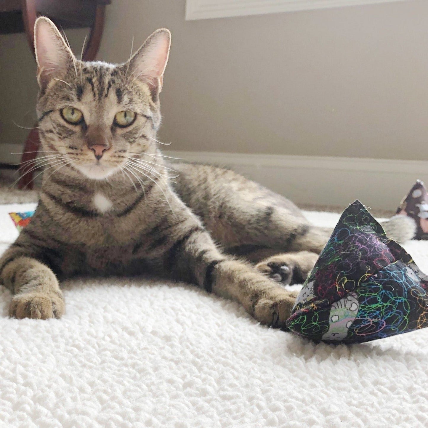 Feline Frenzy Catnip Triangle - Set of 3