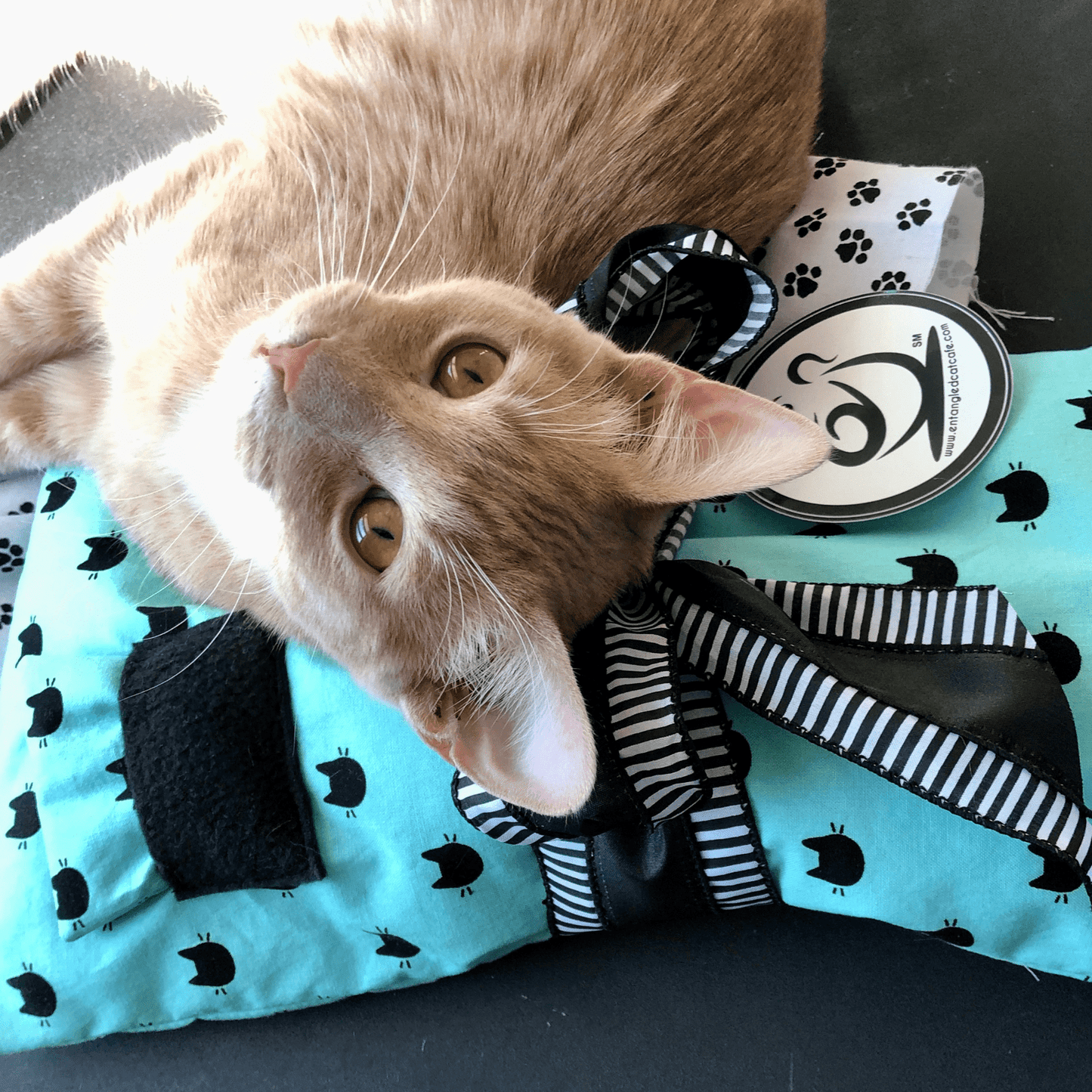 Kozy Kitty Mobile Pet Bedding