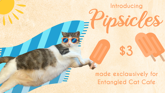 Popsicle of the Month: Lemon Blueberry