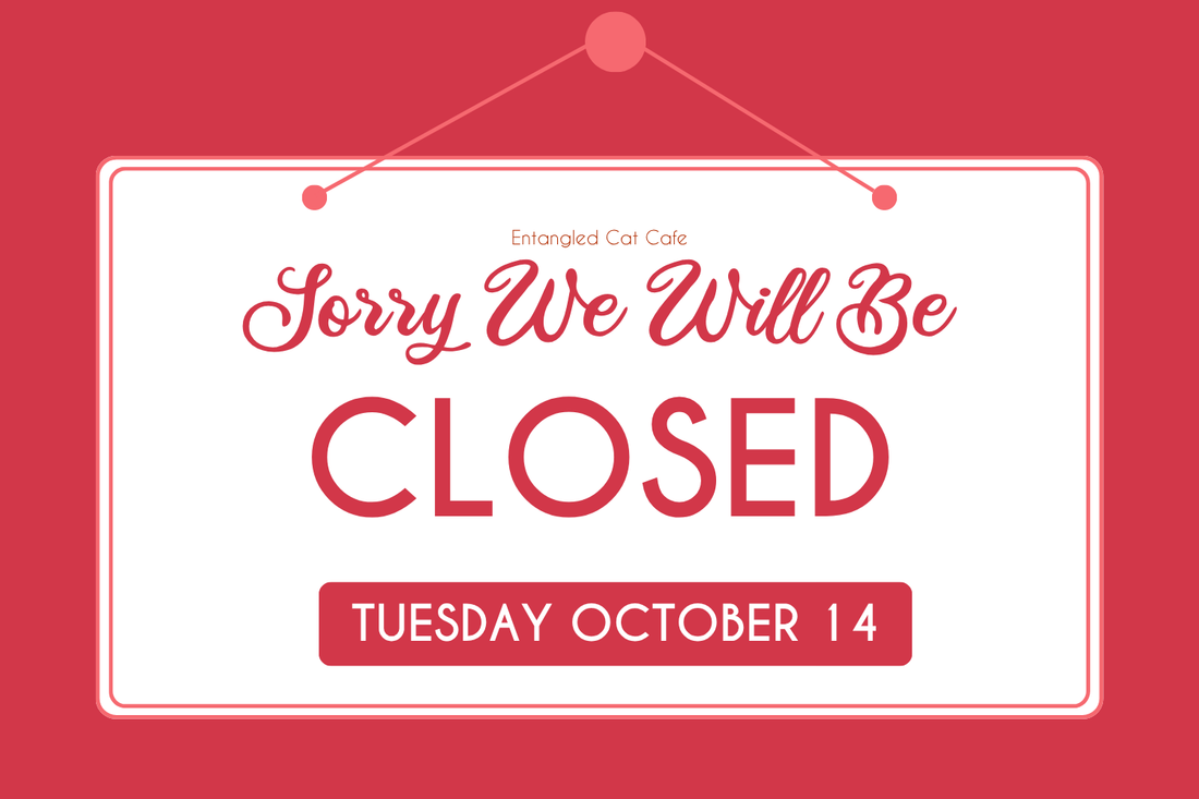Closed Tuesday October 14