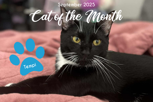 Tempi the Tux!