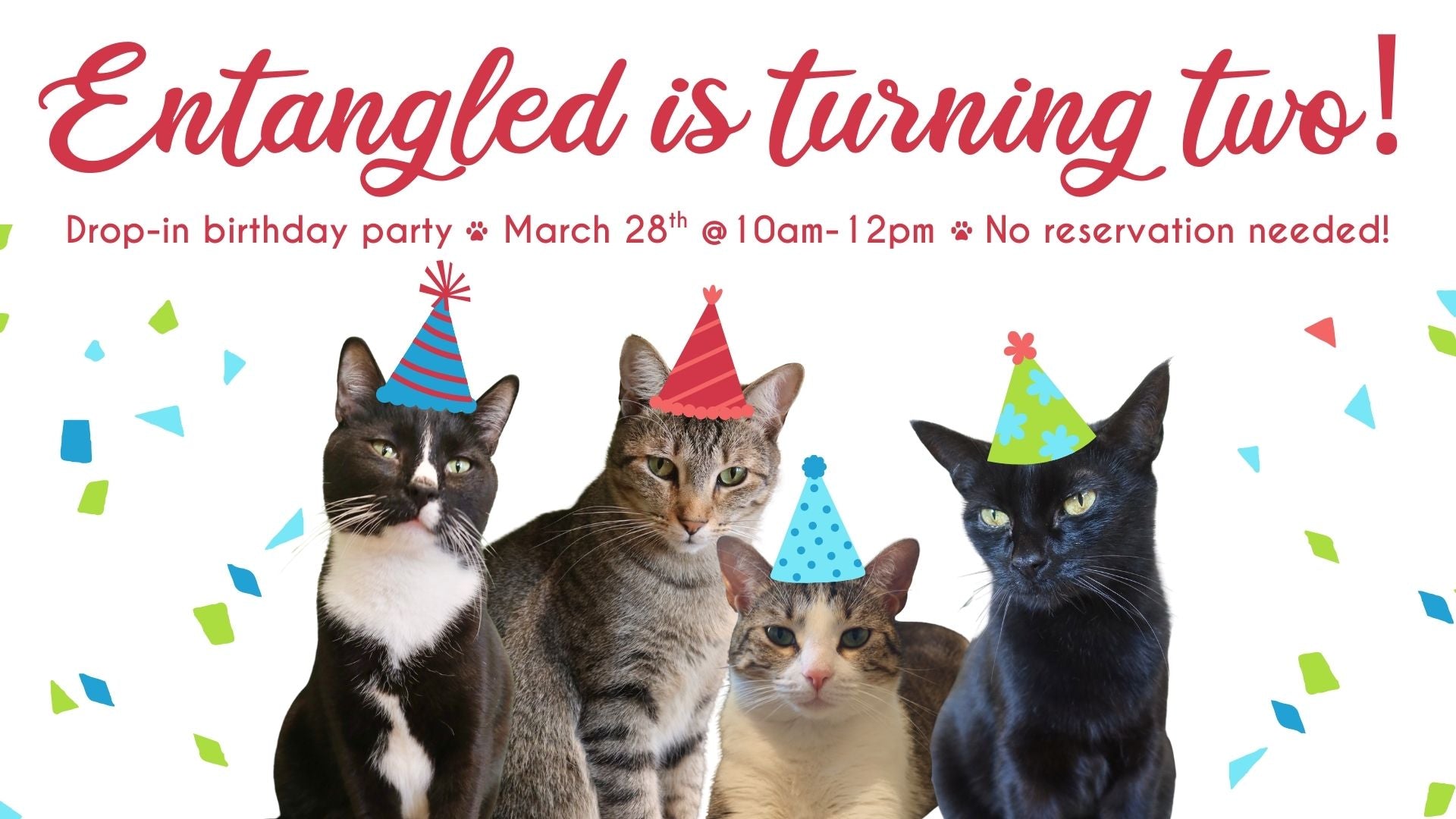 Entangled Turns Two! – Entangled Cat Cafe