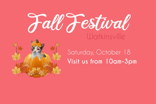 Open for Fall Festival in Downtown Watkinsville