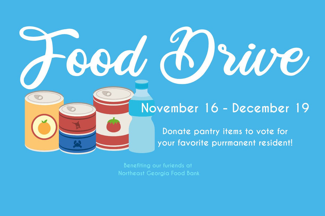 Holiday Food Drive: Cast Your Vote for "Top Philanthropaw"