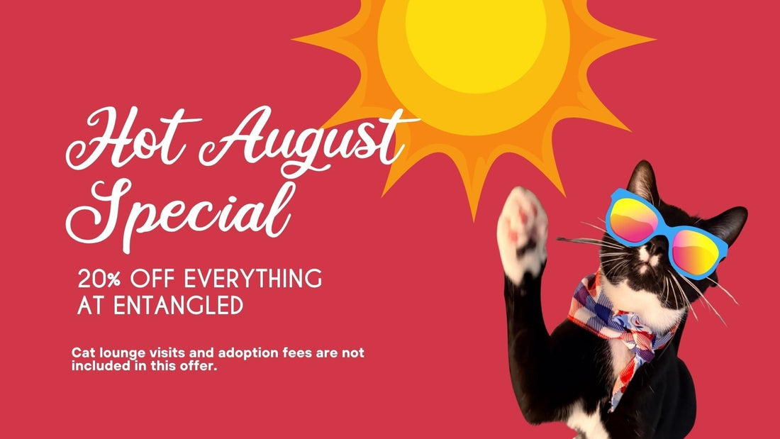 Hot August Special - 20% Savings
