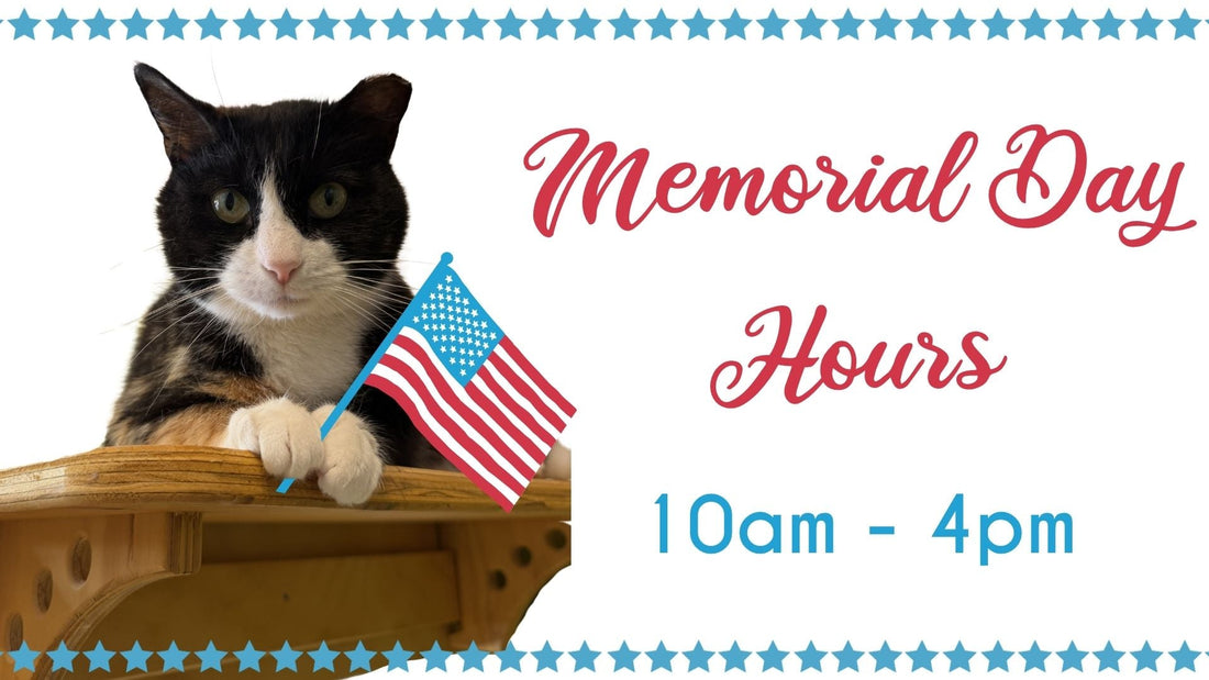 We are Open Memorial Day