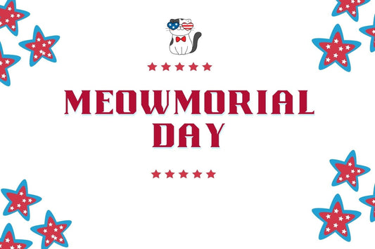 Meowmorial Day: Special Hours & Reservation Policy
