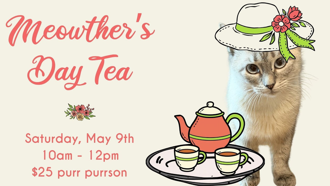 Meowther's Day Tea