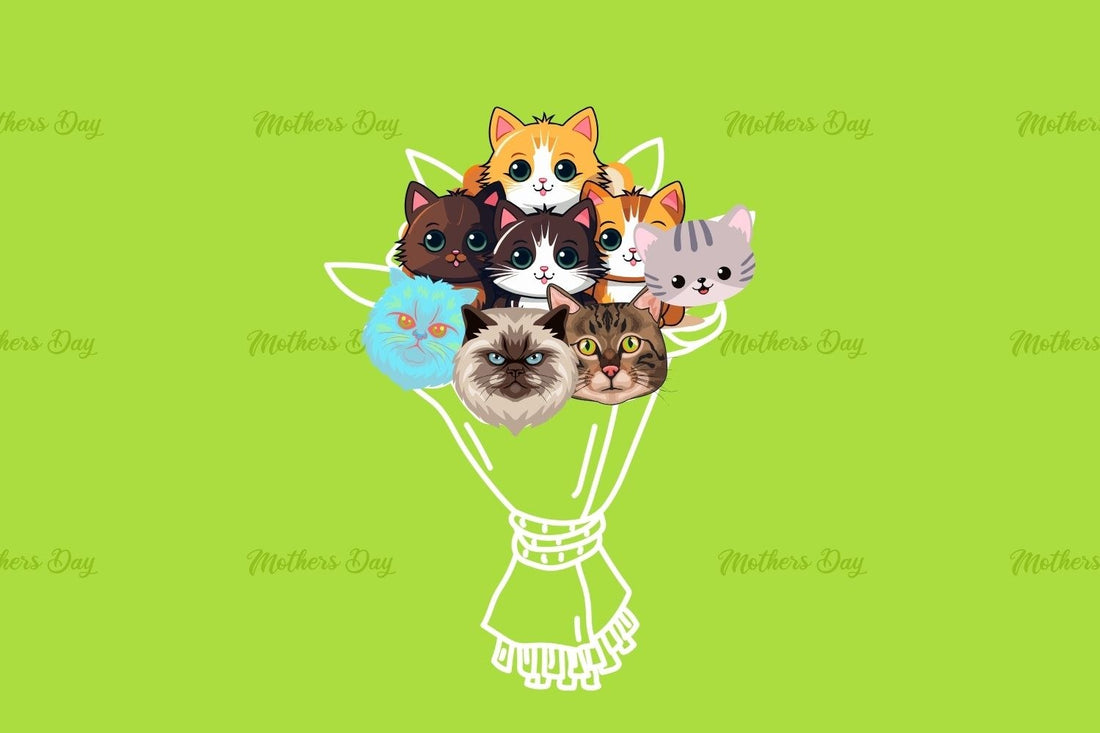 Cats, Cuddles & Mom: The Purrfect Mother's Day