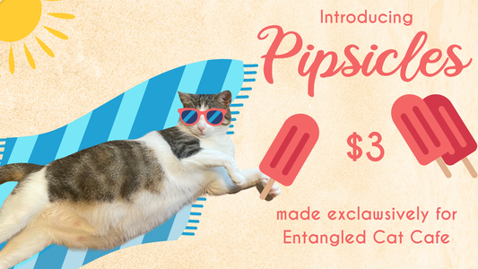 Pipsicles Are Here