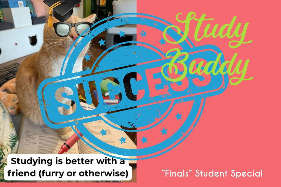 A Purr-fect Study Season: Thank You, Students!