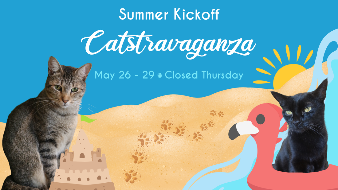 Summer Kickoff Catstravaganza