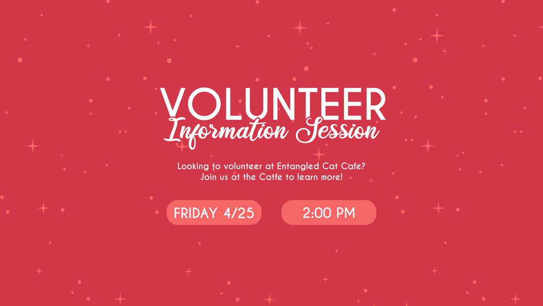 Volunteer Information Session