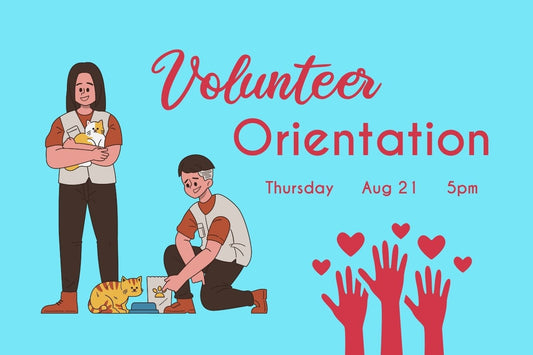 Volunteer Orientation