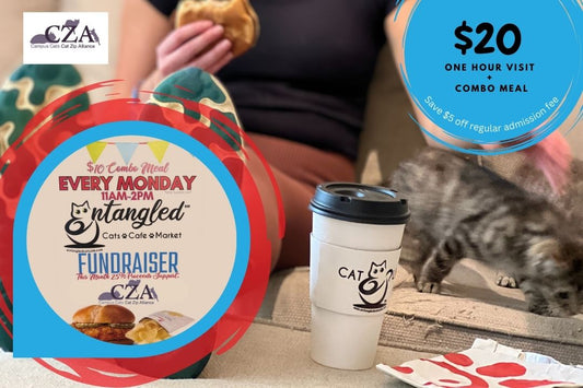 Chick-Fil-A Fundraiser Lunch with Cats