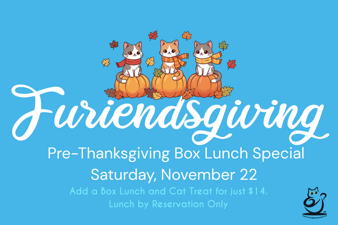Furiendsgiving: A Pre-Thanksgiving Saturday Special