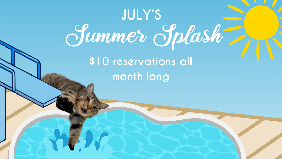 $10 Summer Splash