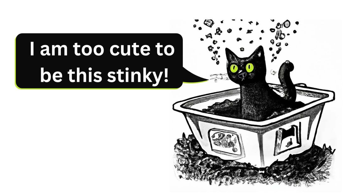 Too cute smelly cat in a litter box 