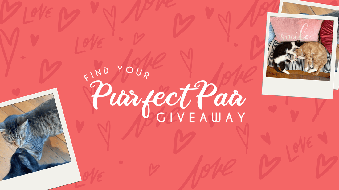 Find Your Purrfect Pair Promo!