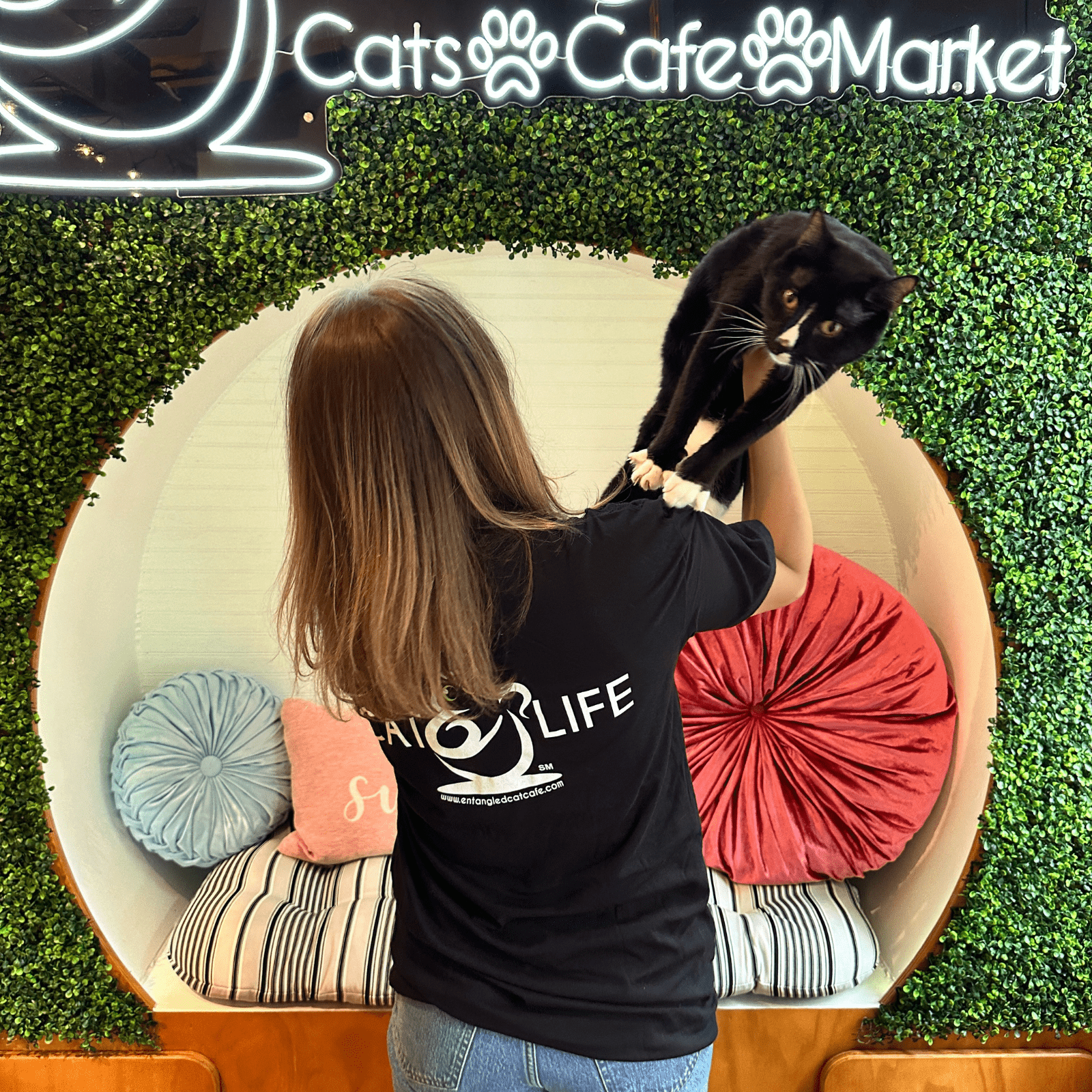 Cat Life T-Shirt