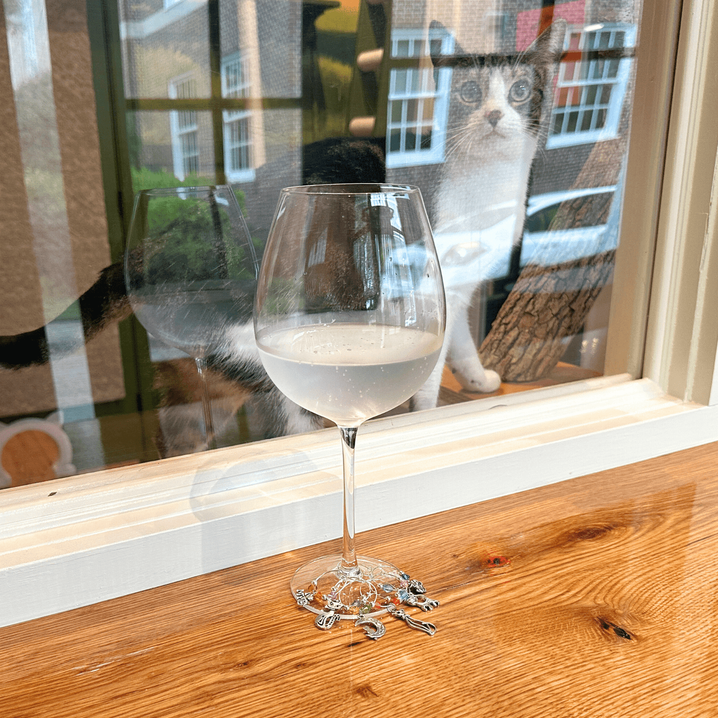 Cat Wine Charm Set